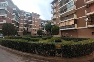 Ampio quadrivani zona tisia