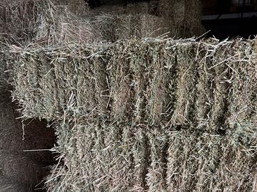 Erba medica in ballette da 25-30 kg