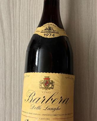 Vino Barbera Delle Langhe Vendemmia 1974