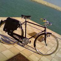 Bicicletta Uomo Torpado