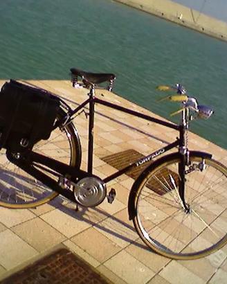 Bicicletta Uomo Torpado