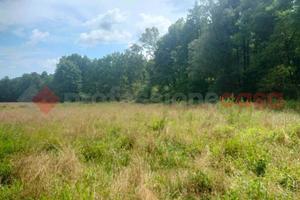 Terreno Agricolo Gattico-Veruno [473VRG]