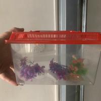 Vaschetta con decorazioni