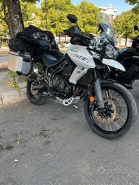 Triumph Tiger