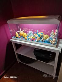 Acquario più mobile