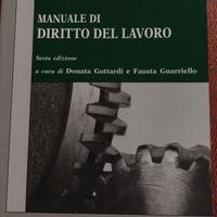 Manuale di Diritto del Lavoro M.Roccella