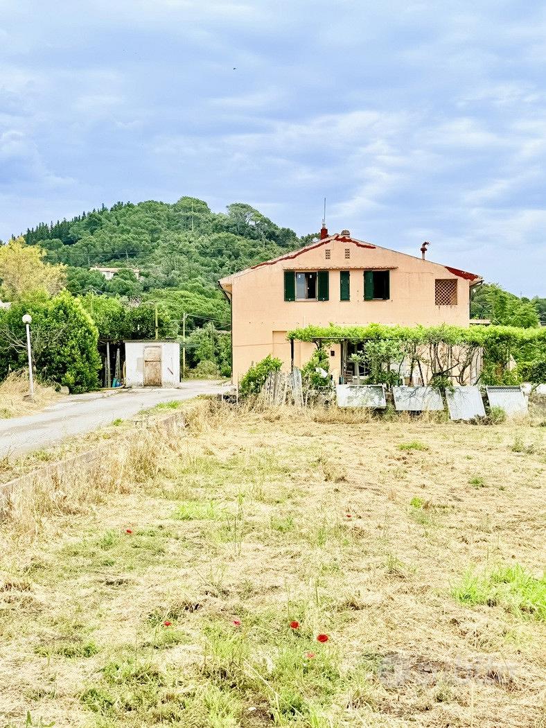 Appartamento – Campo nell'Elba, Gli Alzi - Vista 5