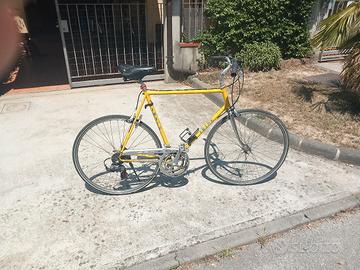 bicicletta da uomo