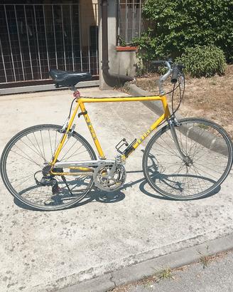 bicicletta da uomo