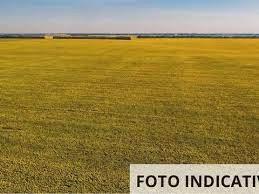 Terreno agricolo