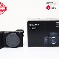 Sony A6600