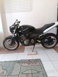 Honda Hornet