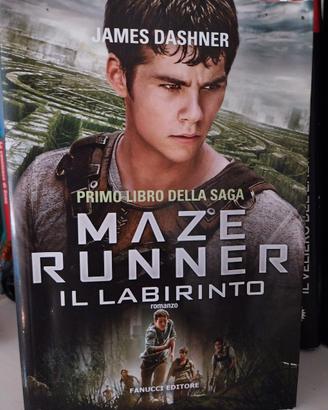 Maze runner "Il labirinto "
