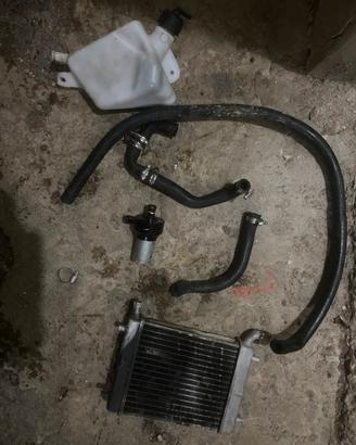 Pompa eletrrica e radiatore f12r compelto