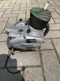 Motore ducati
