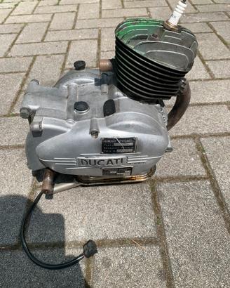 Motore ducati