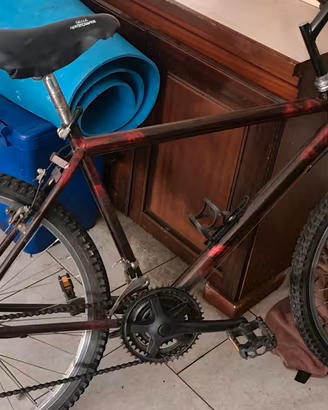 bicicletta