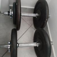 Manubri da palestra