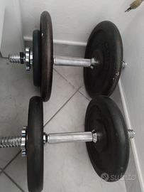Manubri da palestra