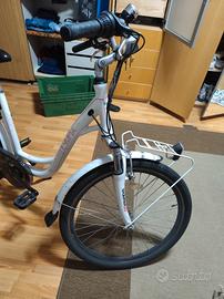 bici pedalata assistita 