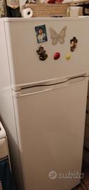 frigo 