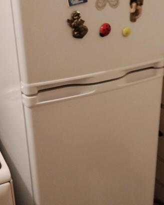 frigo 