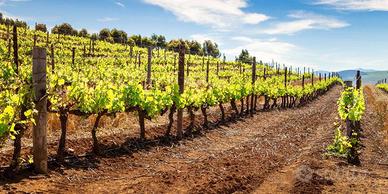 Esenta di Lonato del Garda Lotto Edificabile - Zon