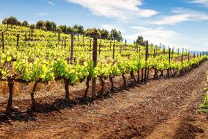 Esenta di Lonato del Garda Lotto Edificabile - Zon