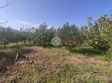 TER. AGRICOLO A MISILMERI