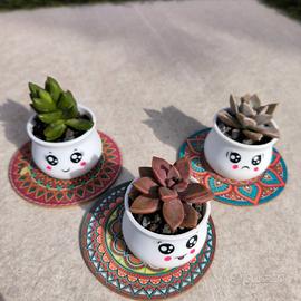 mini succulenti decorative in vaso