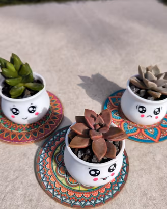 mini succulenti decorative in vaso