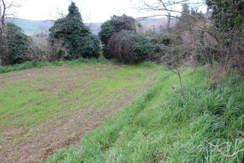 Immobile in asta di 43309 m² a Meldola - Altro