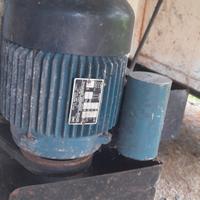 Deraspatrice Pigiatrice per uva RItiro a mano