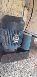 Deraspatrice Pigiatrice per uva RItiro a mano