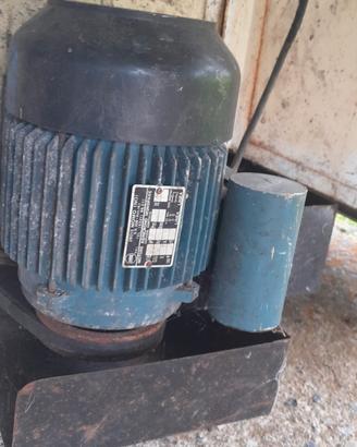 Deraspatrice Pigiatrice per uva RItiro a mano