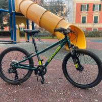 Bici Cannondale Kid’s Trail 20’