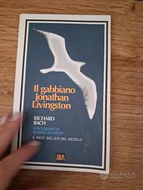 il gabbiano Jonathan  Livingston