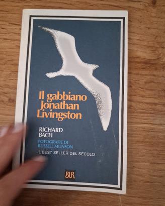 il gabbiano Jonathan  Livingston