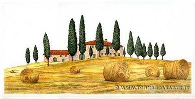 Rustico / Casale di 650 m² a San Giustino