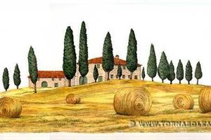 Rustico / Casale di 650 m² a San Giustino