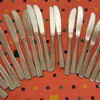 Coltelli in acciaio inox