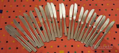 Coltelli in acciaio inox