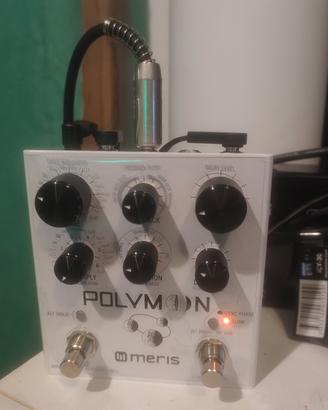 Meris Polymoon