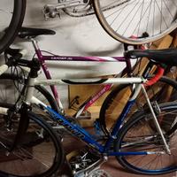 colnago master  super masi somec spx moser leader