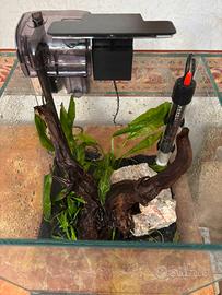 Acquario 18 lt (spedisco)