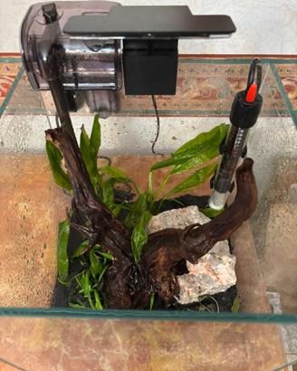 Acquario 18 lt (spedisco)