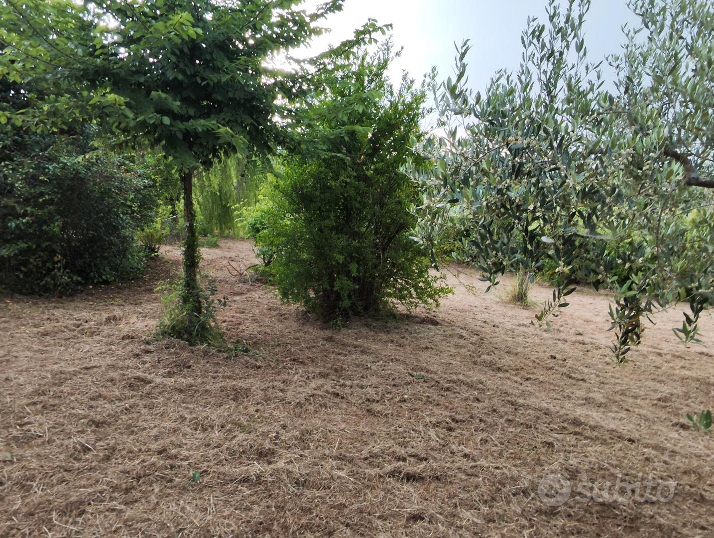 Terreno agricolo - Vista 3