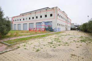 Locale Commerciale - Corigliano-Rossano