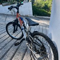 Bici bambino