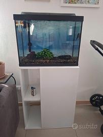 Acquario 80 l